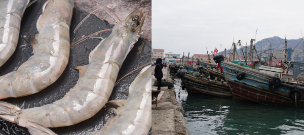 建造一個海鮮冷庫多少錢？